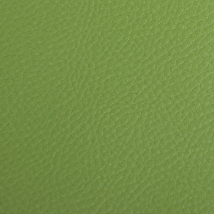 Πολυθρόνα Birkin color inox base