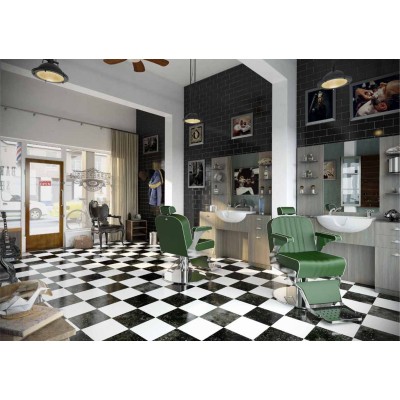 Πολυθρόνα Barber Lenny full color